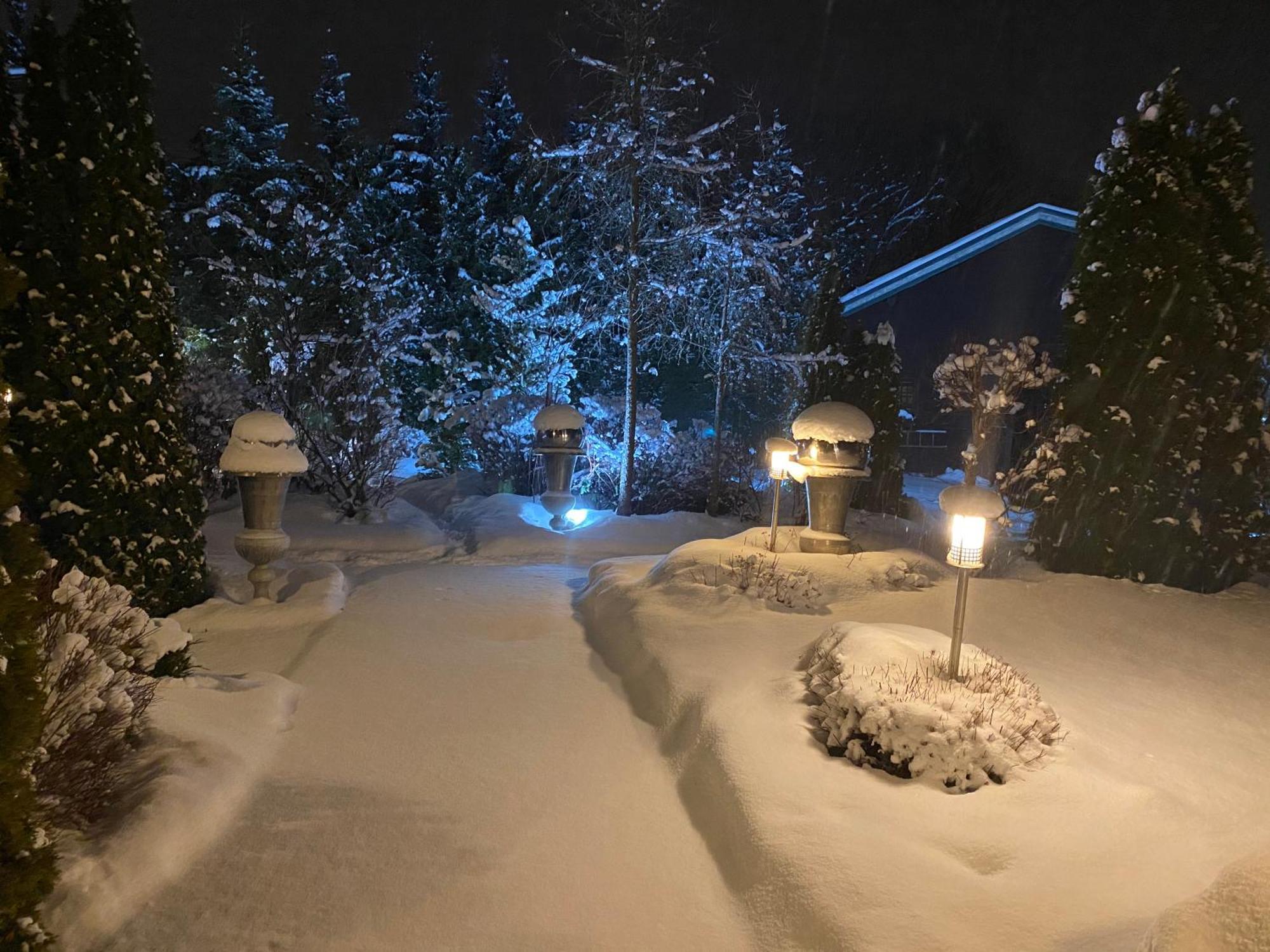 Hotel Edelweiss Kitzbuehel Dış mekan fotoğraf